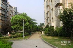 枫桥雅居爆料最新消息是真的吗,最新消息真实性待核实